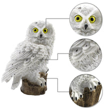 Load image into Gallery viewer, Owl Solar Light LED Panel Fake Waterproof Garden Ornament Animal Bird Outdoor Yard Garden Lamps us - jnpworldwide