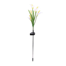 Load image into Gallery viewer, solar light led sensor power Flower remove lamp motion outdoor garden path landscape waterproof a - jnpworldwide