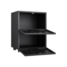 Load image into Gallery viewer, Office furniture Copier Cabinet black 2 door steel copier stand mobile pedestal file Printer Stand