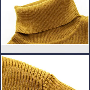 Spring Sweater Males Turtleneck Solid Color Casual Sweater Slim Fit Knitted Cotton Pullovers Shirts - jnpworldwide