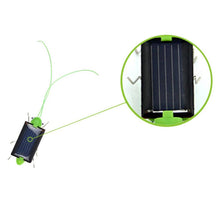 Load image into Gallery viewer, Solar grasshopper Educational Powered Robot Toy    required Gadget Gift No batteries for kids fairy - jnpworldwide