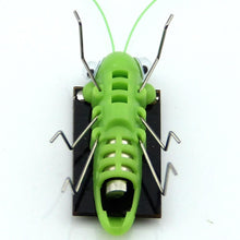 Load image into Gallery viewer, Solar grasshopper Educational Powered Robot Toy    required Gadget Gift No batteries for kids fairy - jnpworldwide