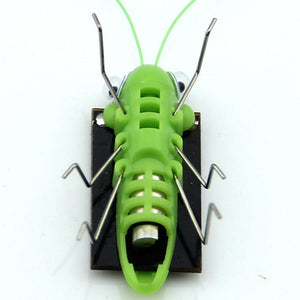 Solar grasshopper Educational Powered Robot Toy    required Gadget Gift No batteries for kids fairy - jnpworldwide
