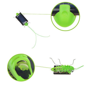 Solar grasshopper Educational Powered Robot Toy    required Gadget Gift No batteries for kids fairy - jnpworldwide