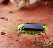 Load image into Gallery viewer, Grasshopper Model Solar Toy Children Outside Educational Gifts Augmented Reality Kid Children - jnpworldwide