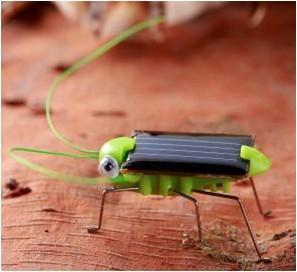 Grasshopper Model Solar Toy Children Outside Educational Gifts Augmented Reality Kid Children - jnpworldwide