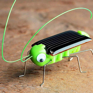 Solar grasshopper Educational Powered Robot Toy    required Gadget Gift No batteries for kids fairy - jnpworldwide