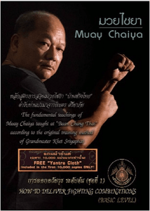 muay thai kickboxing tradition heavy speed punch body Remove style hand back DVD Art of fighting k1 - jnpworldwide