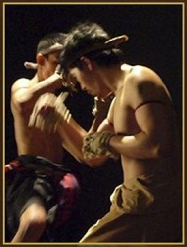 muay thai kickboxing tradition heavy speed punch body Remove style hand back DVD Art of fighting k1 - jnpworldwide