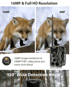 camera hunting Trail 2G SMS Video 360 4D Photo Trap Wild hunter game deer feed hunt scout infrared A - jnpworldwide